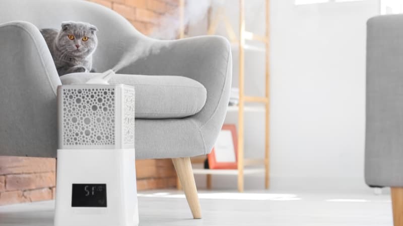 Room Humidifier