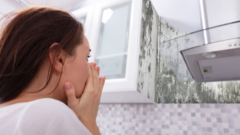 Don&#8217;t Let Mold Ruin Your Day: Learn How to Treat Mold Exposure Fast!