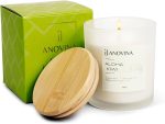 Anovina